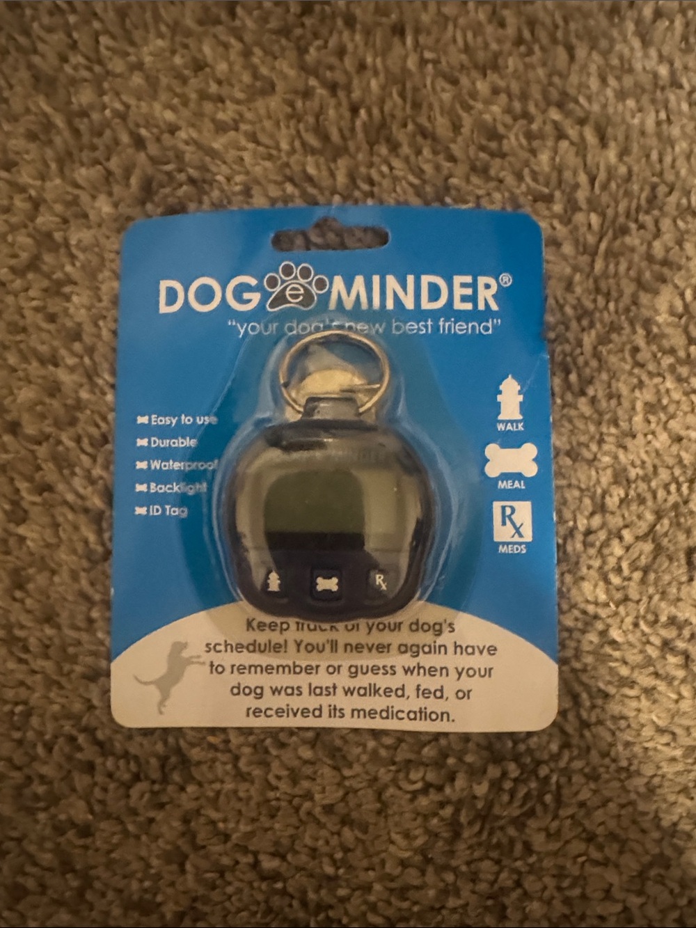 Dog Activity Reminder - Blue and Black